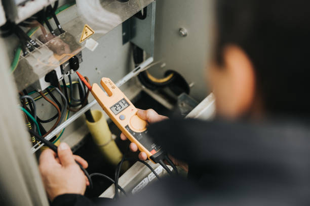 Best Ceiling Fan Installation Electrician  in Pelion, SC