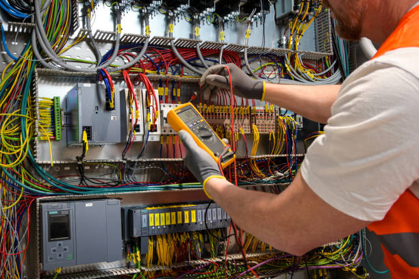 Electrical System Inspection in Pelion, SC