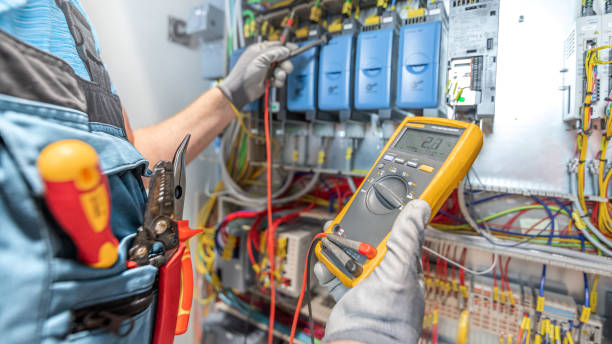 Best Local Electrician Companies  in Pelion, SC